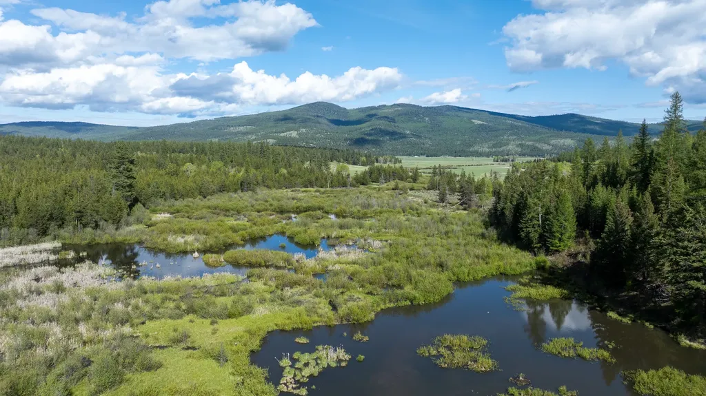 3180 Browns Meadow Road Kila MT 59920