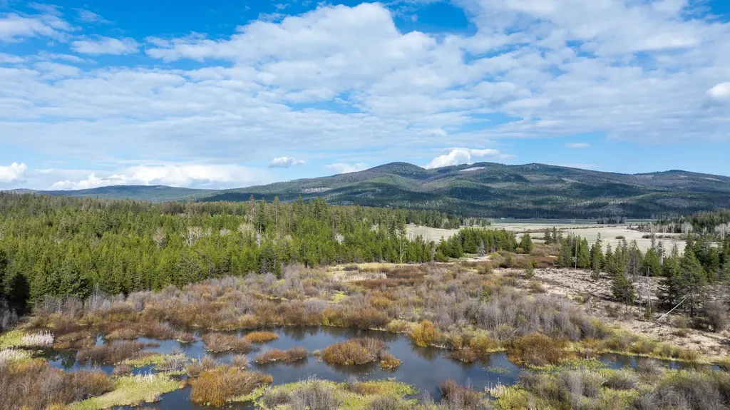 3180 Browns Meadow Road Kila MT 59920