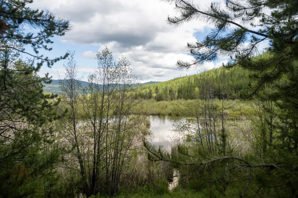 3180 Browns Meadow Road Kila MT 59920