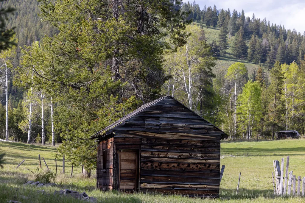 3180 Browns Meadow Road Kila MT 59920