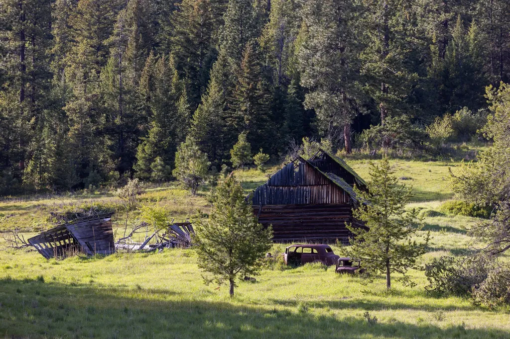 3180 Browns Meadow Road Kila MT 59920