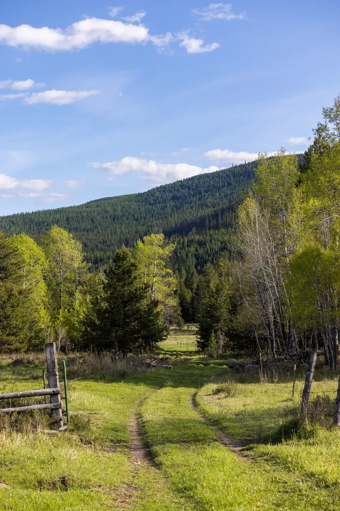 3180 Browns Meadow Road Kila MT 59920