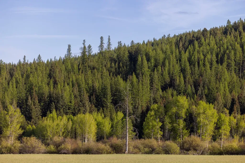3180 Browns Meadow Road Kila MT 59920