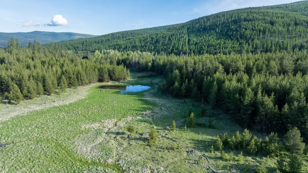 3180 Browns Meadow Road Kila MT 59920