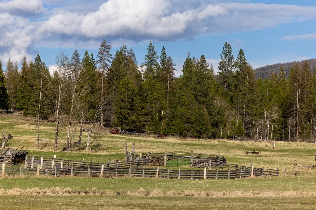 3180 Browns Meadow Road Kila MT 59920