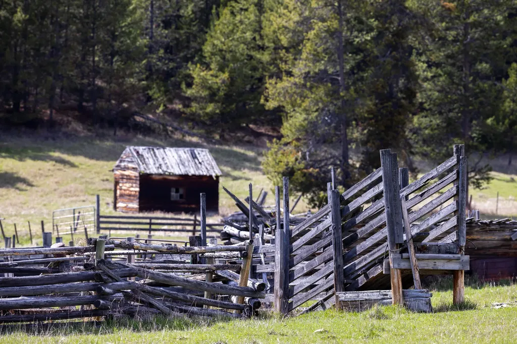 3180 Browns Meadow Road Kila MT 59920