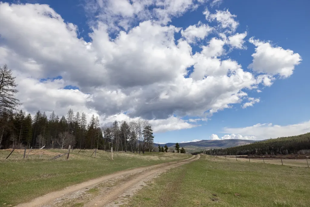 3180 Browns Meadow Road Kila MT 59920