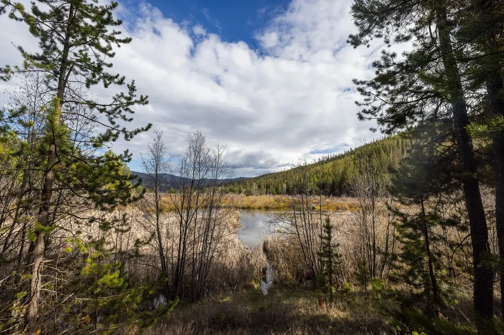 3180 Browns Meadow Road Kila MT 59920
