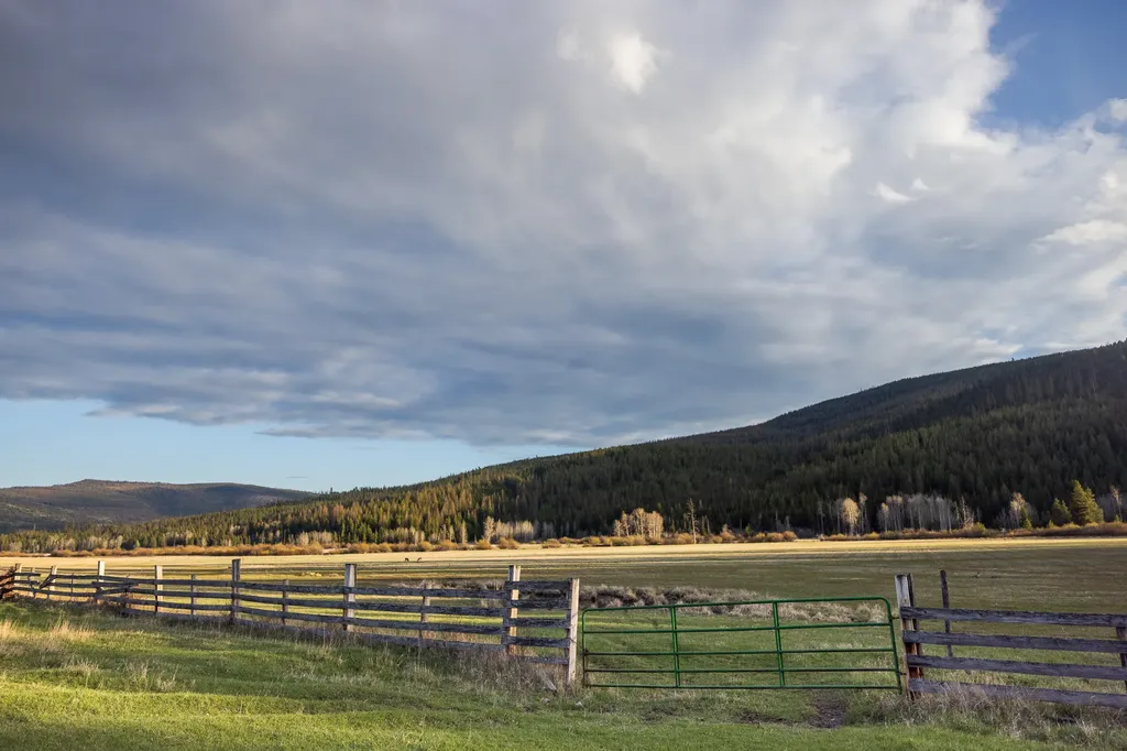 3180 Browns Meadow Road Kila MT 59920