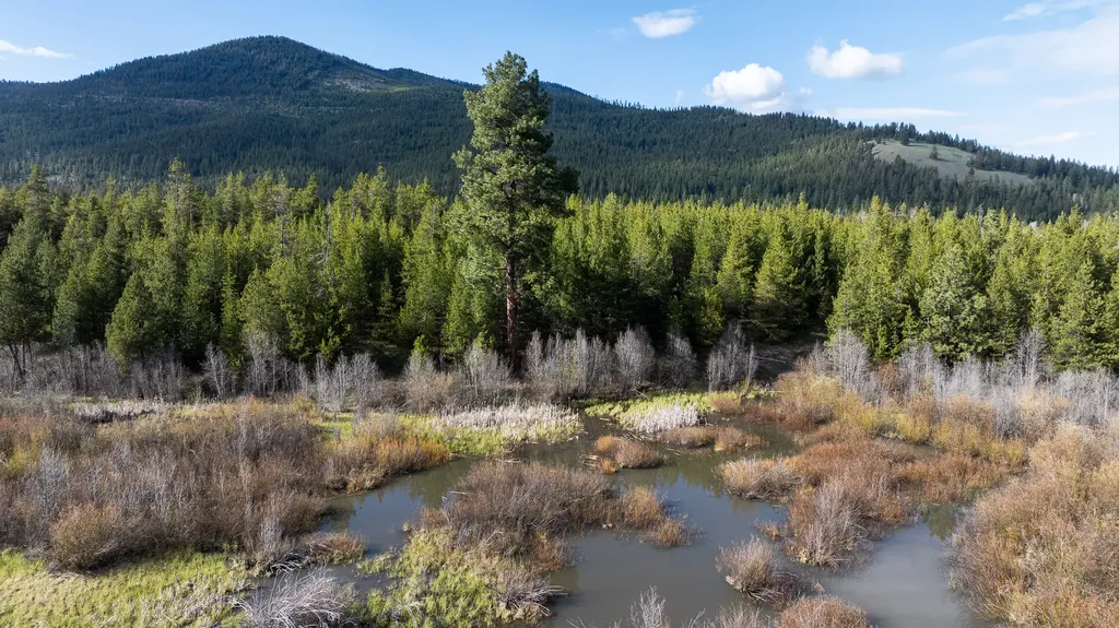 3180 Browns Meadow Road Kila MT 59920
