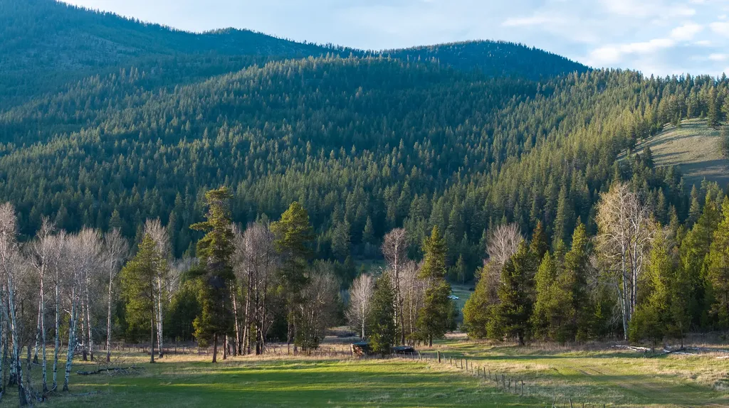 3180 Browns Meadow Road Kila MT 59920