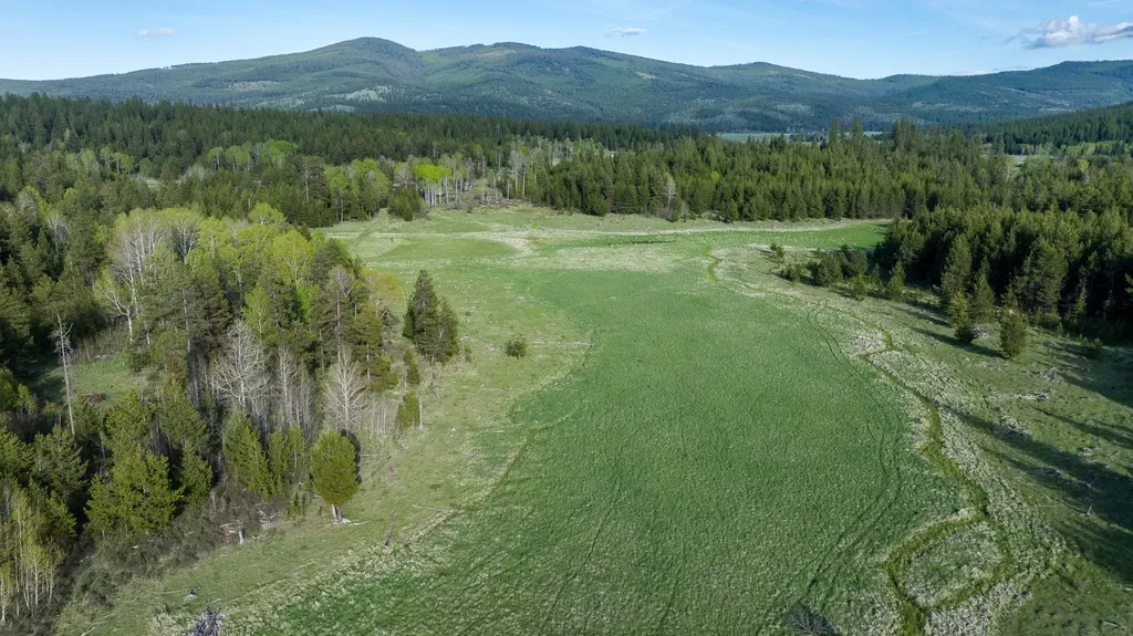 3180 Browns Meadow Road Kila MT 59920