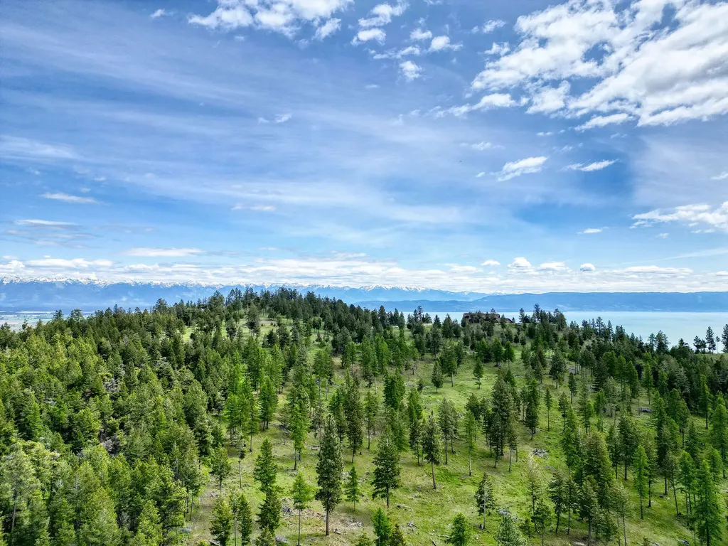 405 Buffalo Trail Somers MT 59932
