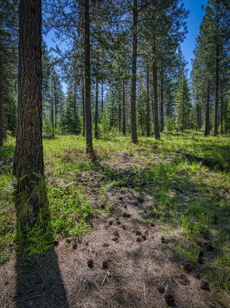 22 Cheyenne Court Troy MT 59935