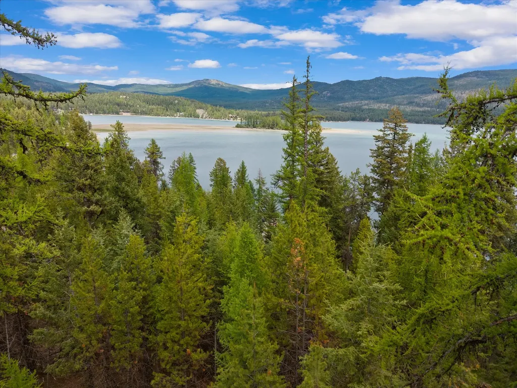 1015 Lodgepole Drive Marion MT 59925