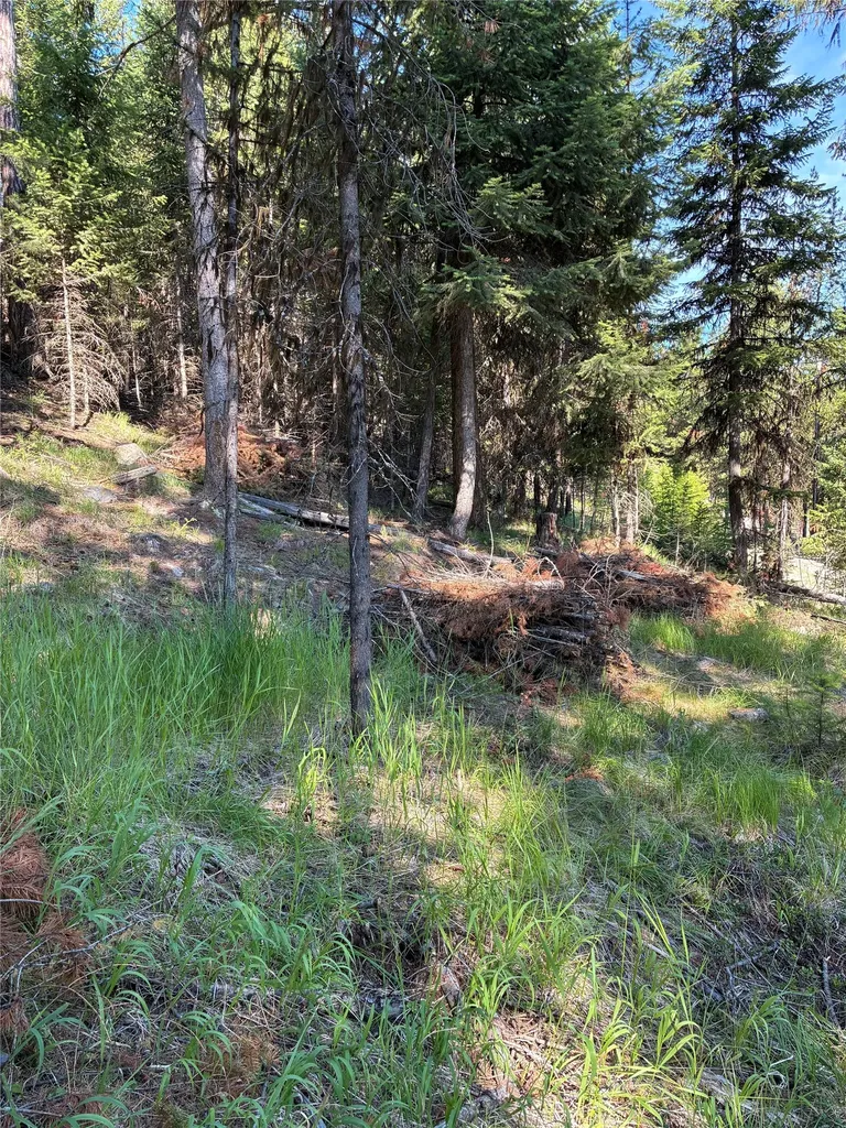 1015 Lodgepole Drive Marion MT 59925