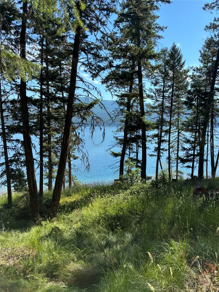 1015 Lodgepole Drive Marion MT 59925