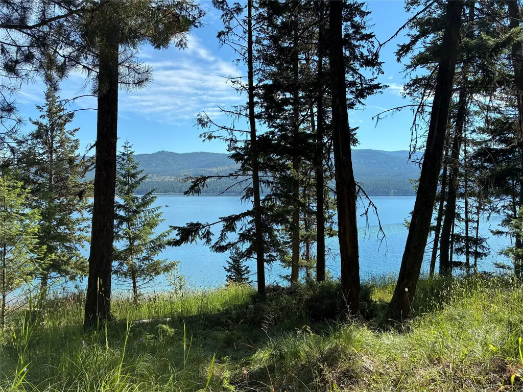 1015 Lodgepole Drive Marion MT 59925