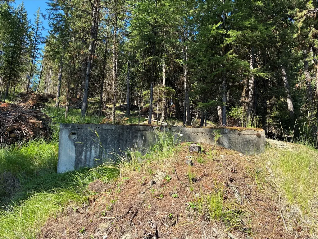 1015 Lodgepole Drive Marion MT 59925