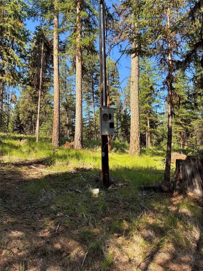 1015 Lodgepole Drive Marion MT 59925