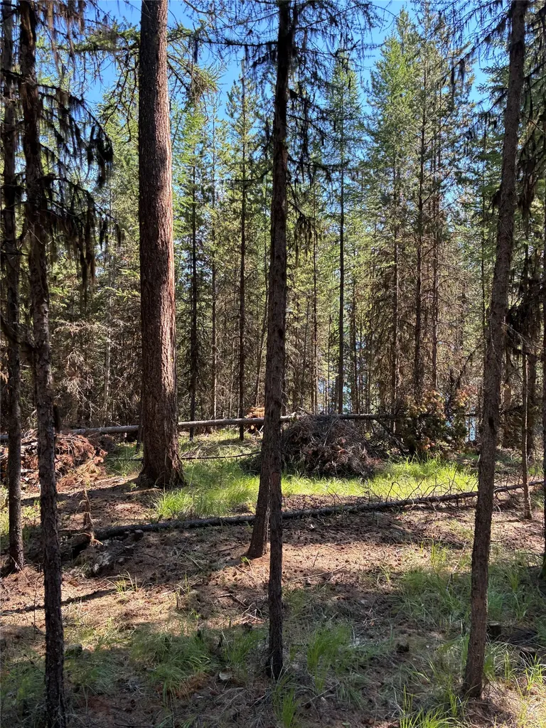 1015 Lodgepole Drive Marion MT 59925