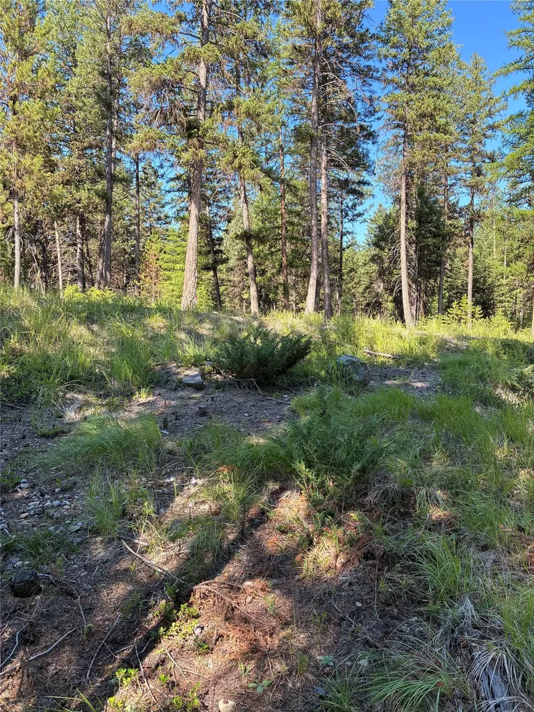 1015 Lodgepole Drive Marion MT 59925