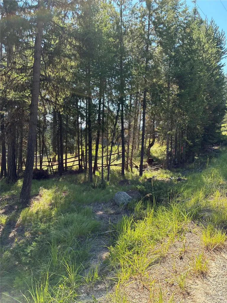 1015 Lodgepole Drive Marion MT 59925