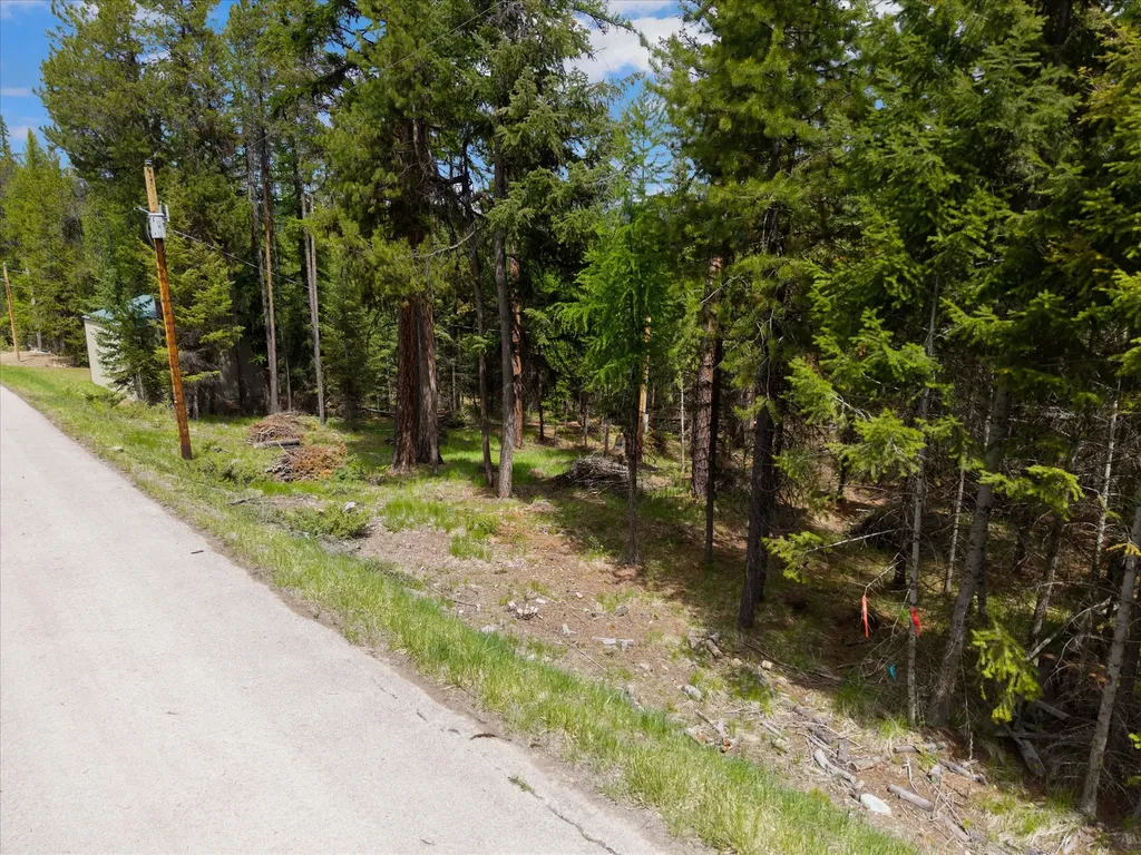 1015 Lodgepole Drive Marion MT 59925
