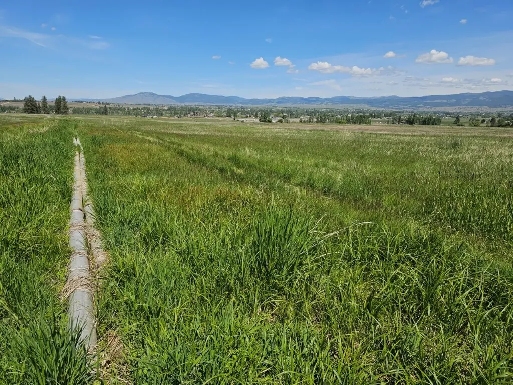Tbd Illinois Bench Road Stevensville MT 59870