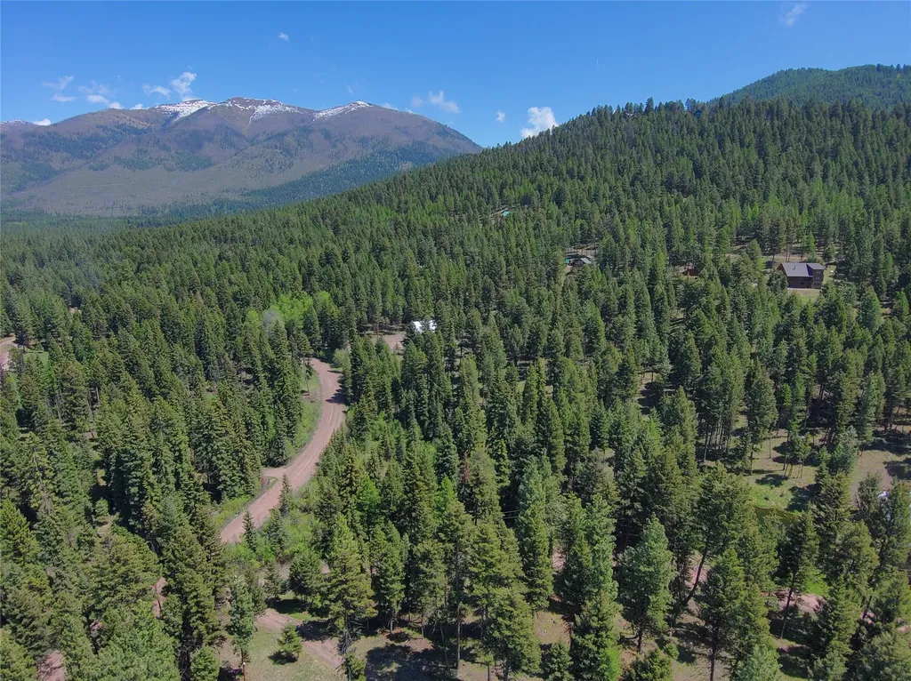 Nhn Bobcat Lane Seeley Lake MT 59868