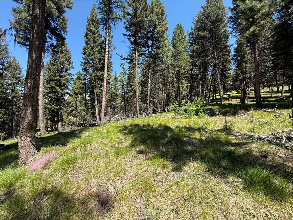 Nhn Bobcat Lane Seeley Lake MT 59868