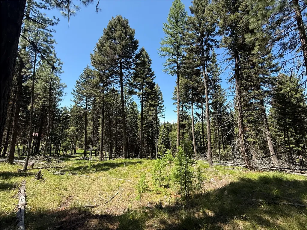 Nhn Bobcat Lane Seeley Lake MT 59868
