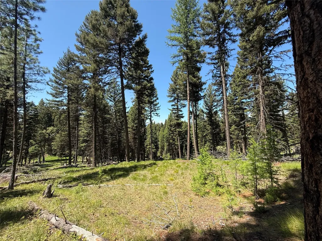 Nhn Bobcat Lane Seeley Lake MT 59868