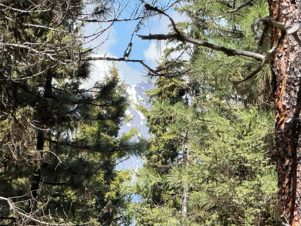 Nhn Bobcat Lane Seeley Lake MT 59868