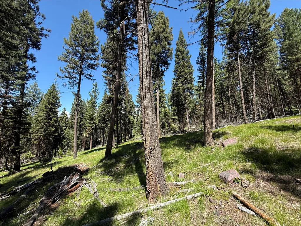 Nhn Bobcat Lane Seeley Lake MT 59868
