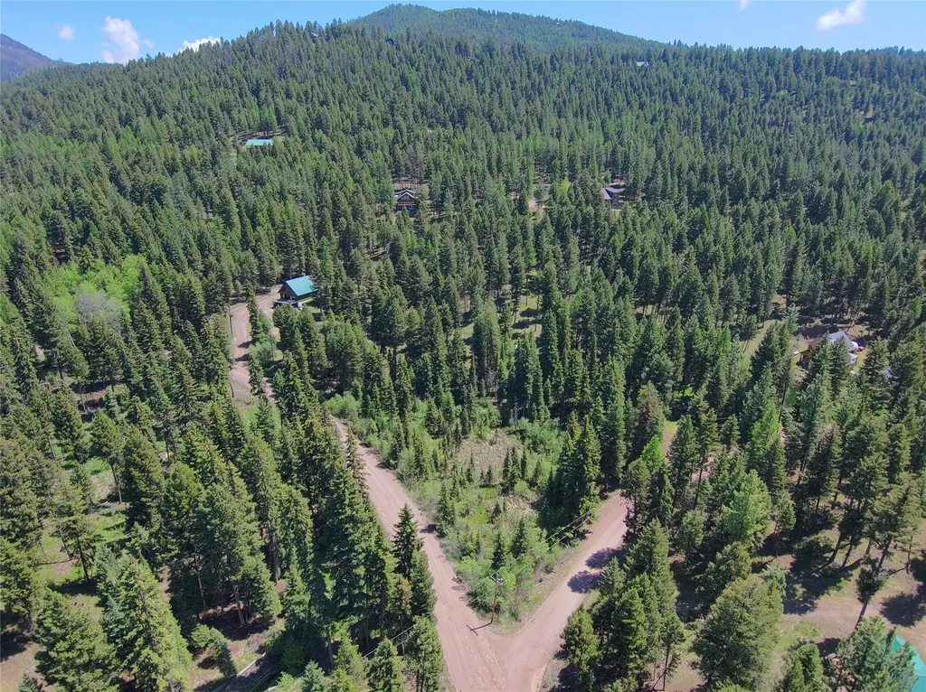 Nhn Bobcat Lane Seeley Lake MT 59868