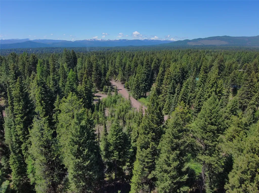 Nhn Bobcat Lane Seeley Lake MT 59868
