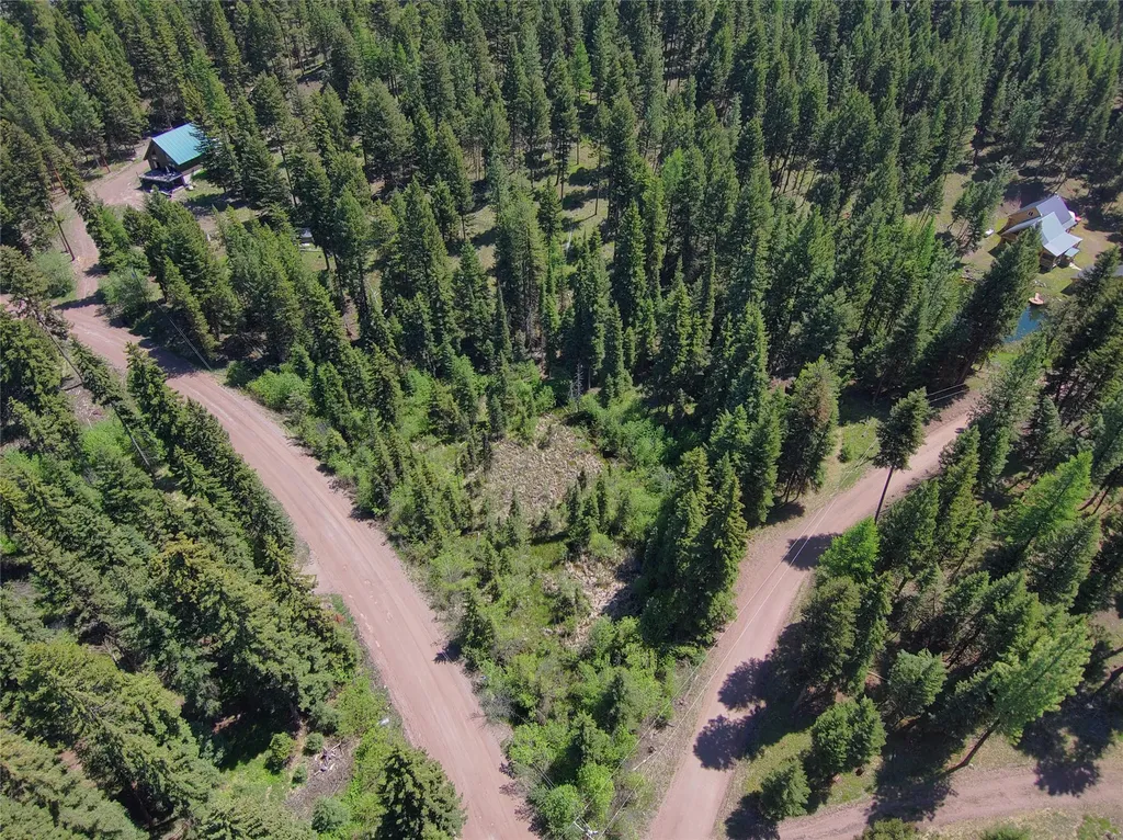 Nhn Bobcat Lane Seeley Lake MT 59868