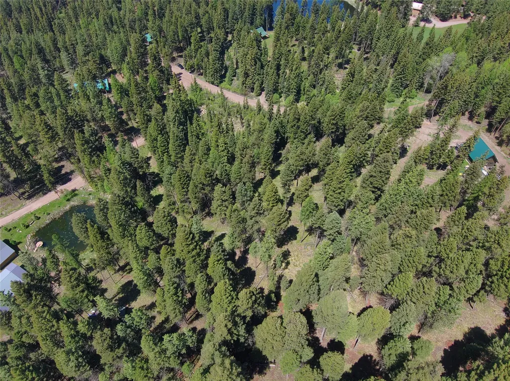 Nhn Bobcat Lane Seeley Lake MT 59868