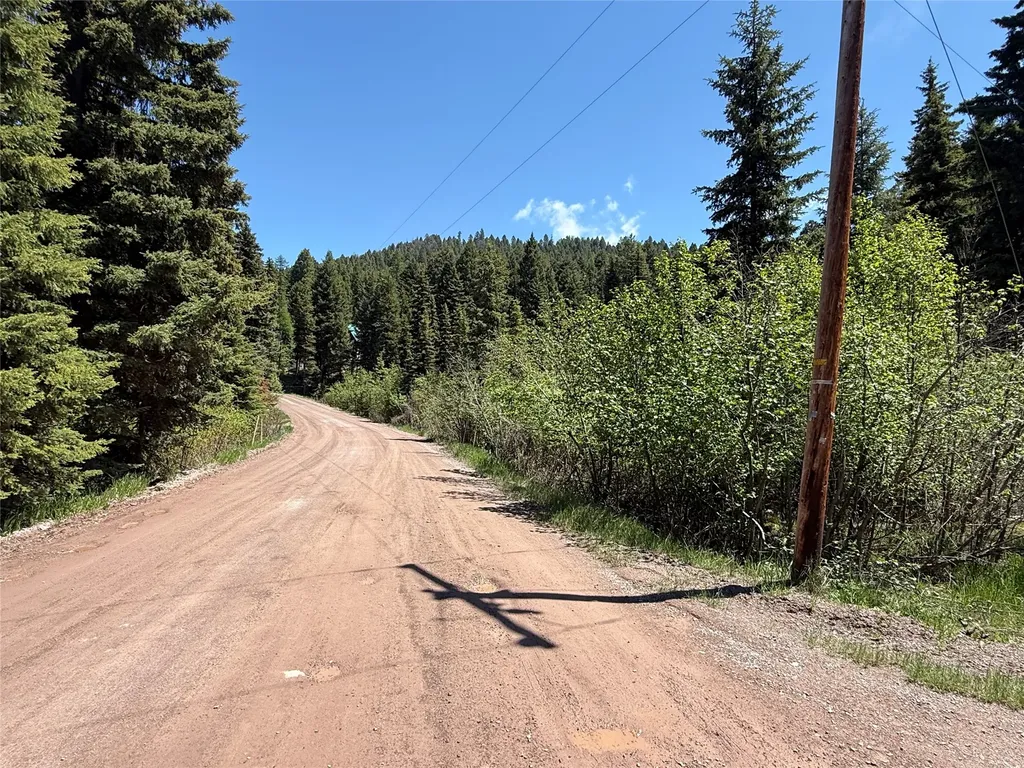 Nhn Bobcat Lane Seeley Lake MT 59868