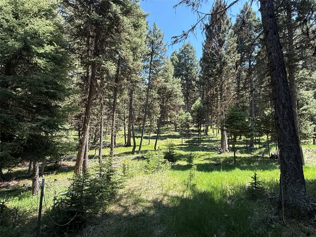 Nhn Bobcat Lane Seeley Lake MT 59868