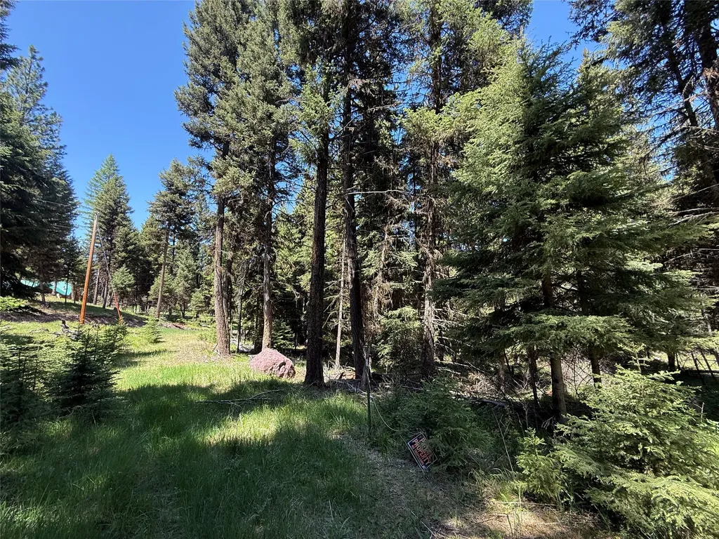 Nhn Bobcat Lane Seeley Lake MT 59868