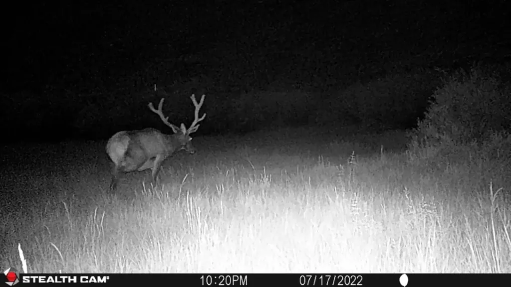 Tbd Camp Creek Road Melrose MT 59743