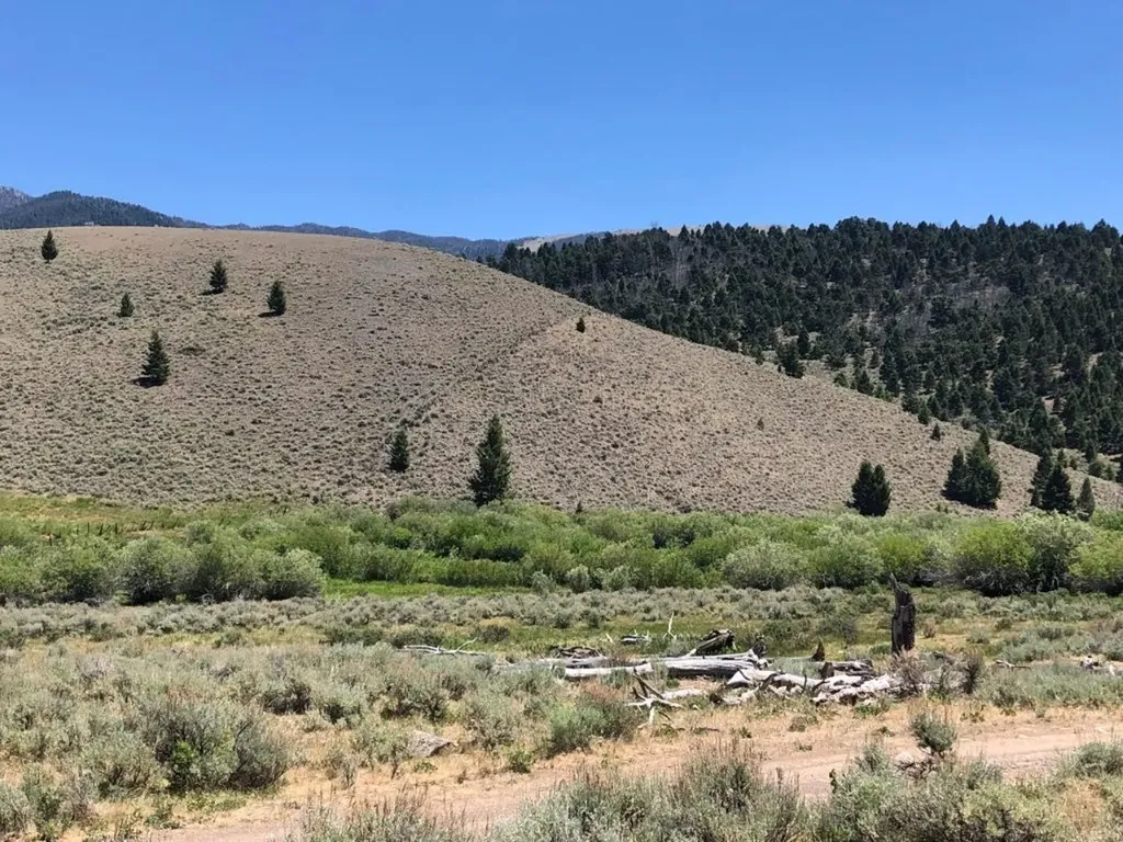Tbd Camp Creek Road Melrose MT 59743
