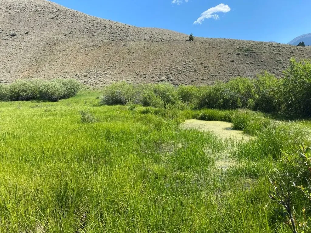 Tbd Camp Creek Road Melrose MT 59743