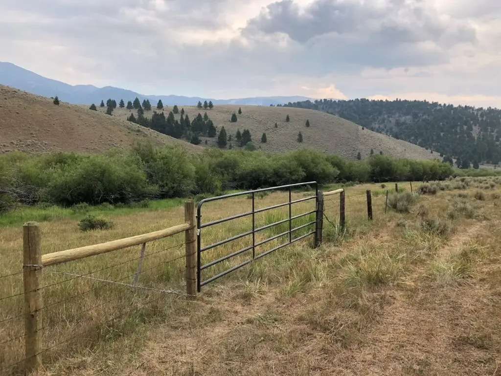 Tbd Camp Creek Road Melrose MT 59743