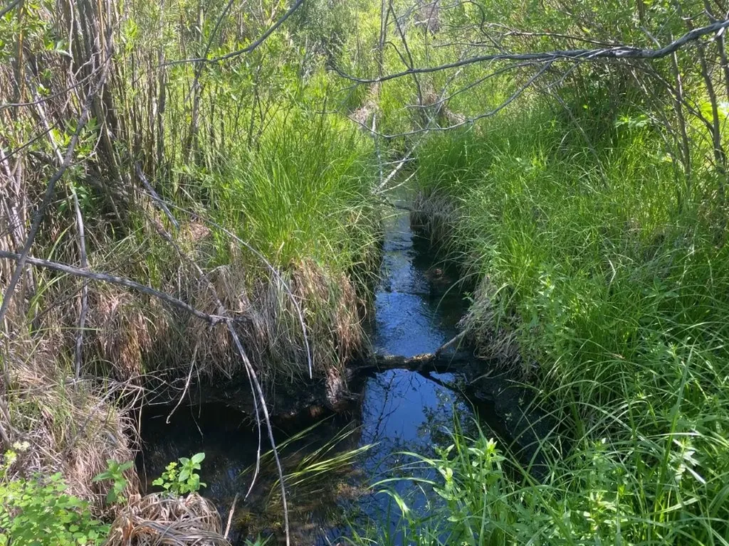 Tbd Camp Creek Road Melrose MT 59743