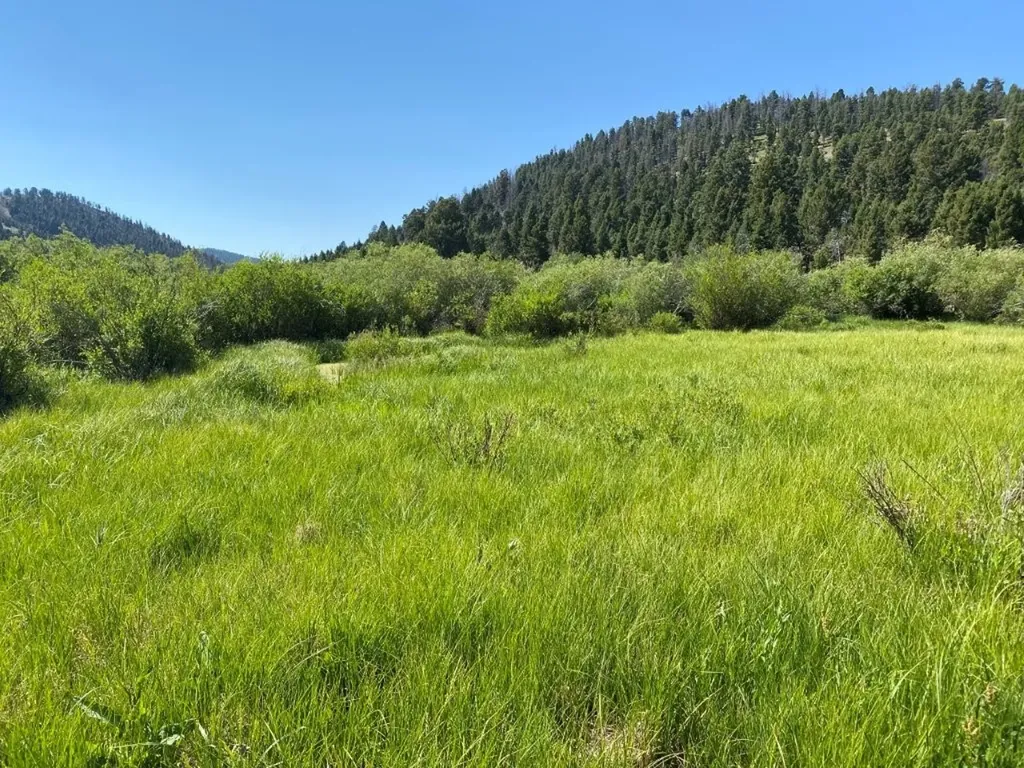Tbd Camp Creek Road Melrose MT 59743