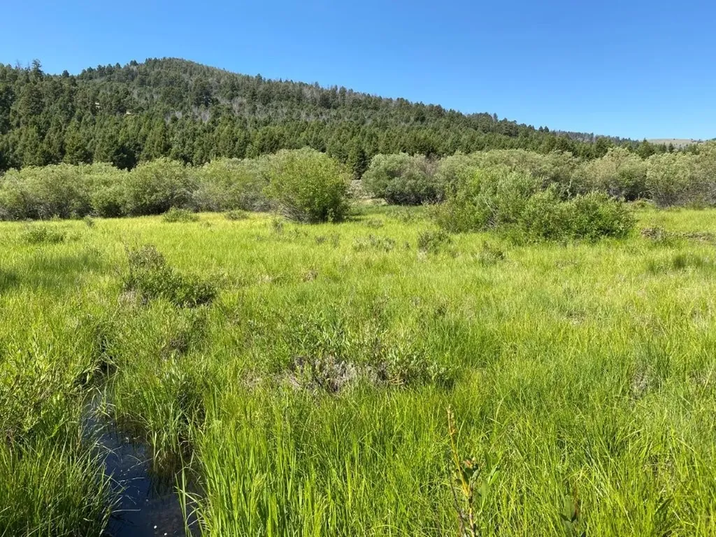 Tbd Camp Creek Road Melrose MT 59743