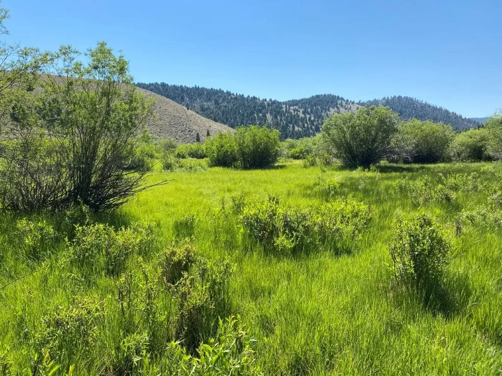 Tbd Camp Creek Road Melrose MT 59743